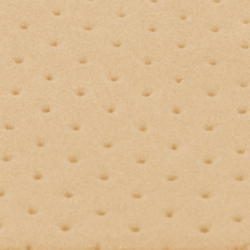 FLEXSKIN10MP