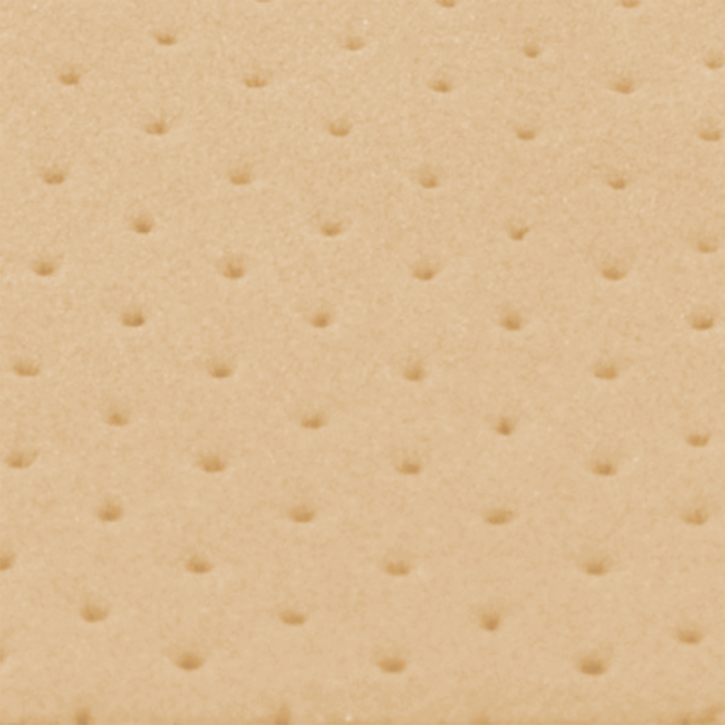 FLEXSKIN10MP