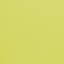 Plaque de mousse polyuréthane Crispon Impact Jaune pour l'absorption des chocs sportifs et le confort de marche