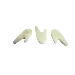 SEPARATEURCM
