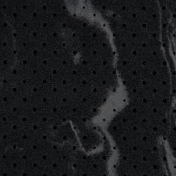 CARBONOMP