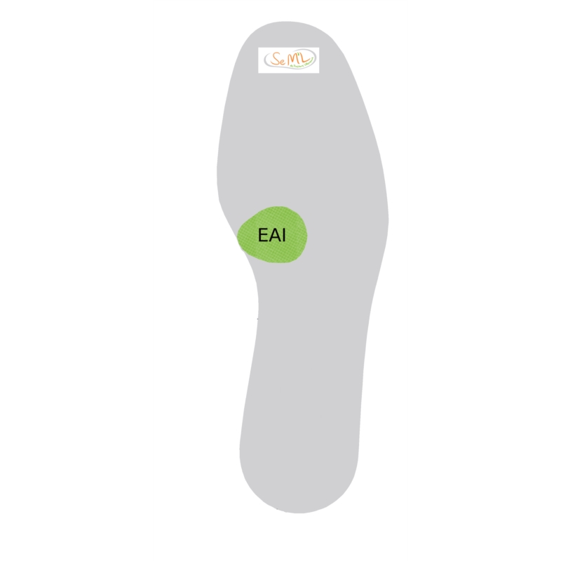 Posturo C&E élément EAI - Crispinflex - x5paires